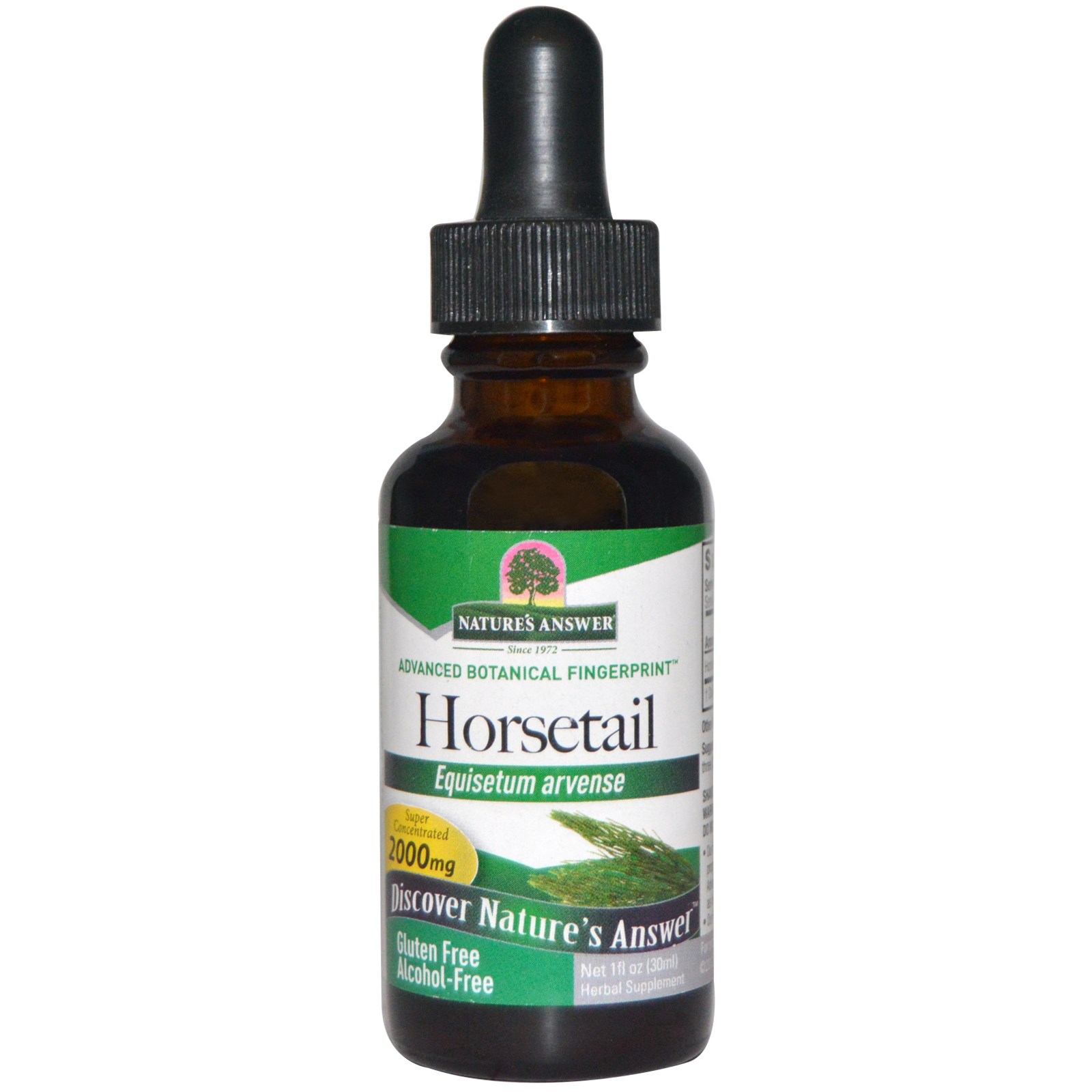 Image of Horsetail, Alcohol-Free, 2000 mg (30 ml) - Nature&apos;s Answer 