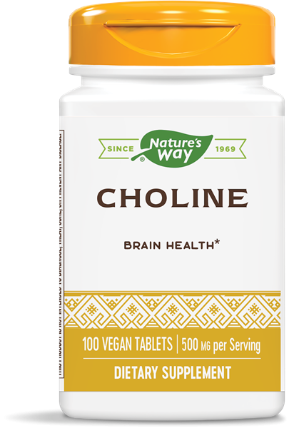 Image of Nature&apos;s Way, Choline, 500 mg, 100 comprimés 