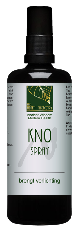 Image of The Health Factory - KNO spray with Zinc and Silver 100 ml 